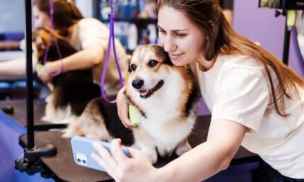Ideas de negocio para emprender en el sector de las mascotas