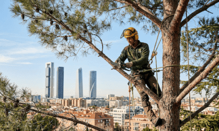 The Green Liability: Cómo la alta especialización en servicios forestales protege el ROI de los activos inmobiliarios